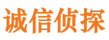 崇阳市调查公司